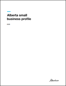 Small business profile 2025